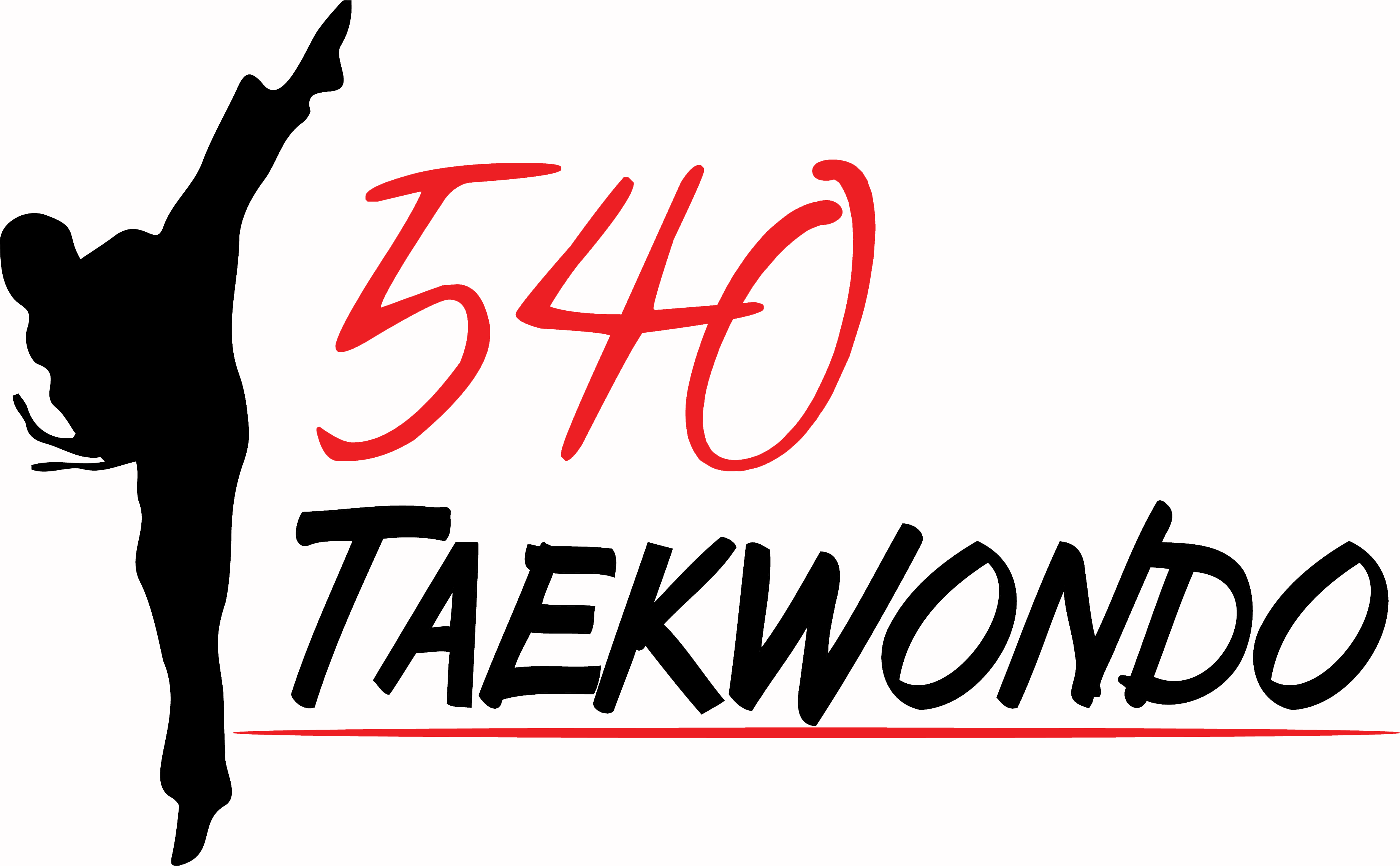 540 Taekwondo
